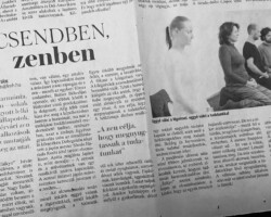 Fejér megyei hírlap - kissé egyszerűsített zen az átlagos olvasónak