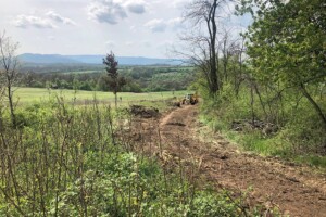 Az erdő melletti út készítése