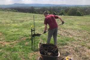 A fák trágyázása