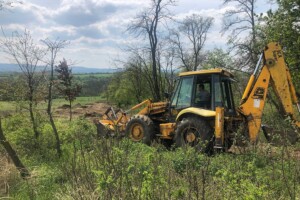 Felütötte fejét az akác, a szeder, és a csipkebogyó