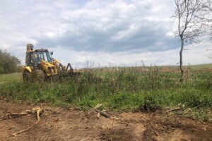 A fa él és élni fog