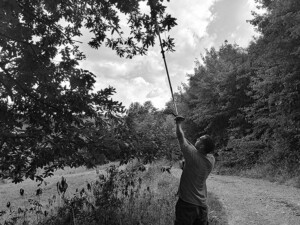 Az ágak levágása, hogy be tudjon jönni a betonkeverő